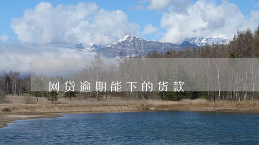 网贷逾期能下的货款 网贷逾期能下的货款