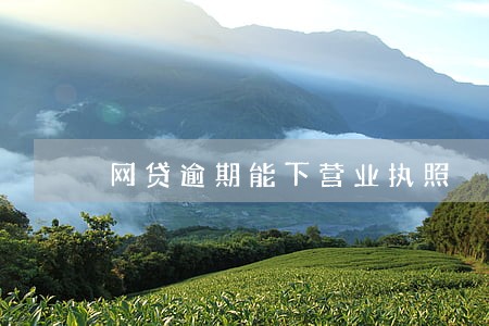 网贷逾期能下营业执照 网贷逾期能下营业执照