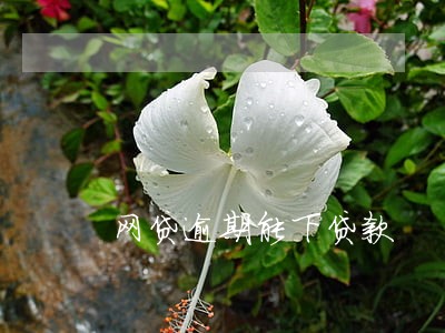 网贷逾期能下贷款 网贷逾期能下贷款