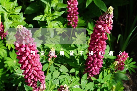 网贷逾期能不接电话么 网贷逾期能不接电话么