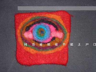 网贷逾期能不能上户口 网贷逾期能不能上户口