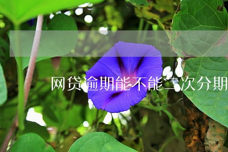 网贷逾期能不能二次分期 网贷逾期能不能二次分期