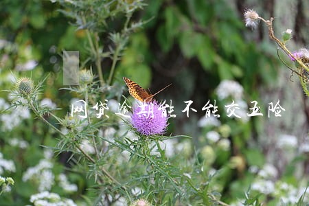 网贷逾期能不能交五险 网贷逾期能不能交五险