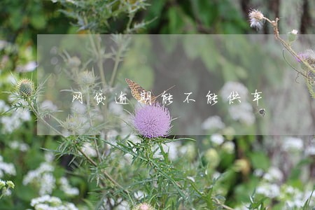 网贷逾期能不能供车 网贷逾期能不能供车