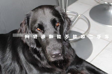网贷逾期能不能做二手车分期 网贷逾期能不能做二手车分期