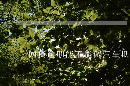 网贷逾期能不能做汽车抵押 网贷逾期能不能做汽车抵押