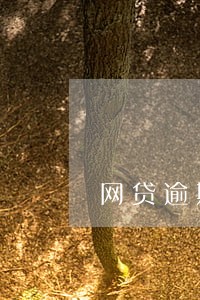 网贷逾期能不能办理银行卡 网贷逾期能不能办理银行卡