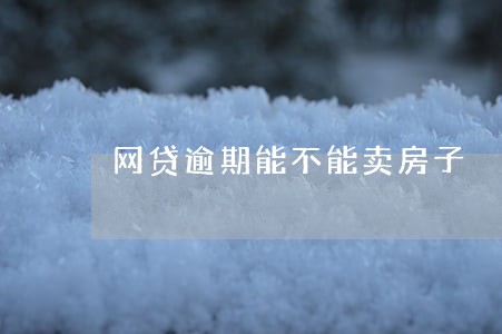 网贷逾期能不能卖房子 网贷逾期能不能卖房子