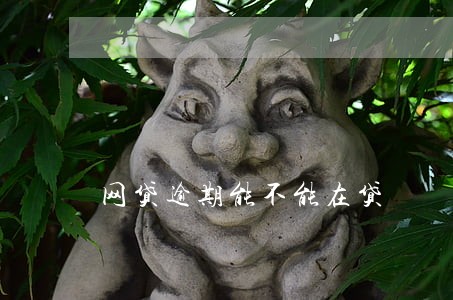 网贷逾期能不能在贷 网贷逾期能不能在贷