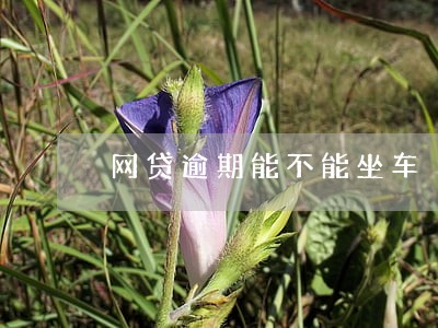 网贷逾期能不能坐车 网贷逾期能不能坐车