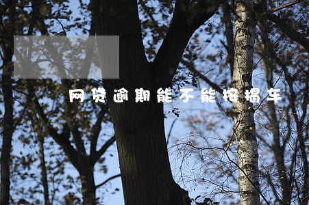 网贷逾期能不能按揭车 网贷逾期能不能按揭车