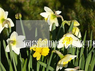 网贷逾期能不能换手机号 网贷逾期能不能换手机号