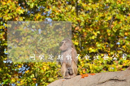 网贷逾期能不能注册公司 网贷逾期能不能注册公司