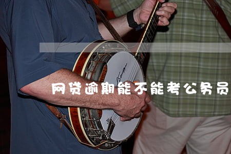 网贷逾期能不能考公务员 网贷逾期能不能考公务员