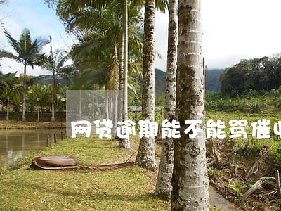 网贷逾期能不能骂催收 网贷逾期能不能骂催收