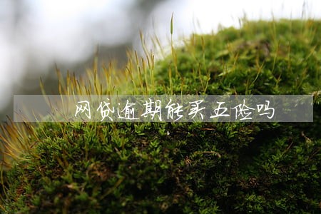 网贷逾期能买五险吗