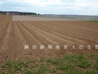 网贷逾期能买大巴车票嘛 网贷逾期能买大巴车票嘛