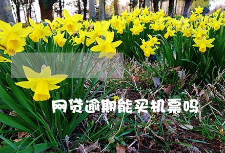 网贷逾期能买机票吗 网贷逾期能买机票吗