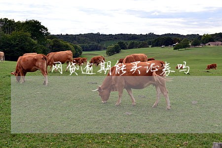 网贷逾期能买证券吗 网贷逾期能买证券吗