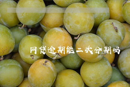 网贷逾期能二次分期吗 网贷逾期能二次分期吗
