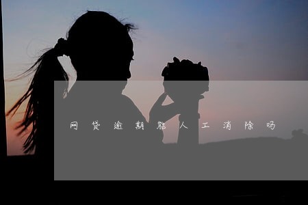 网贷逾期能人工消除吗 网贷逾期能人工消除吗