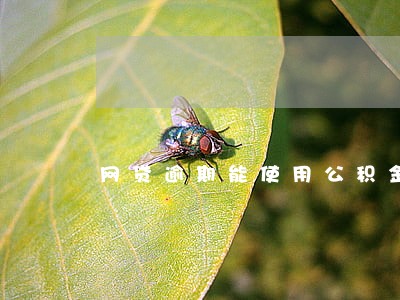网贷逾期能使用公积金贷款吗 网贷逾期能使用公积金贷款吗