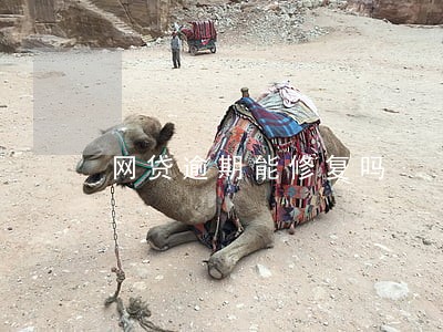 网贷逾期能修复吗 网贷逾期能修复吗