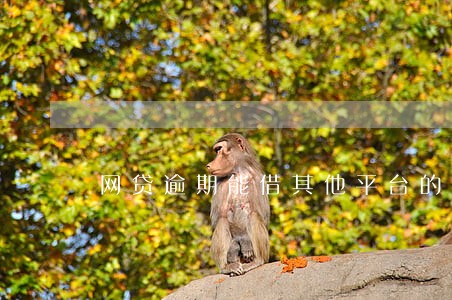 网贷逾期能借其他平台的 网贷逾期能借其他平台的
