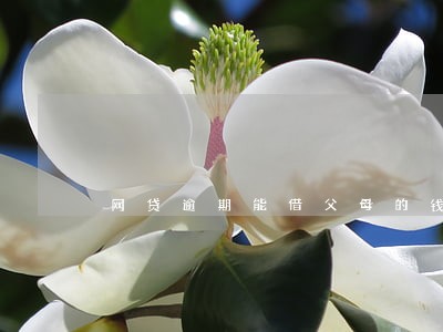 网贷逾期能借父母的钱吗 网贷逾期能借父母的钱吗