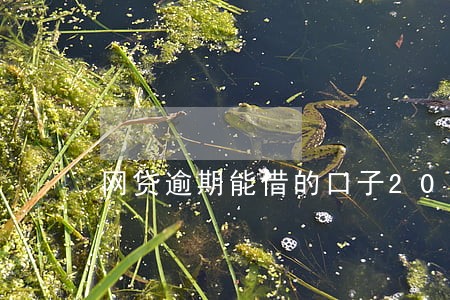 网贷逾期能借的口子2019