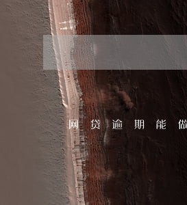 网贷逾期能做公司监事么 网贷逾期能做公司监事么