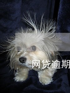 网贷逾期能做动车吗