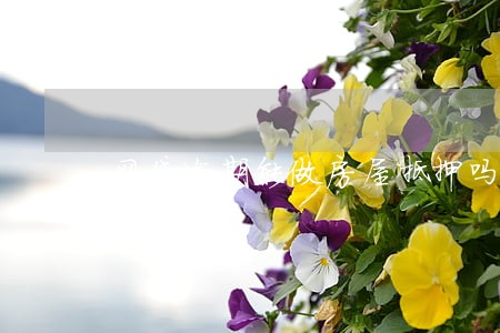 网贷逾期能做房屋抵押吗