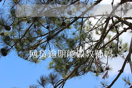 网贷逾期能做教师吗 网贷逾期能做教师吗