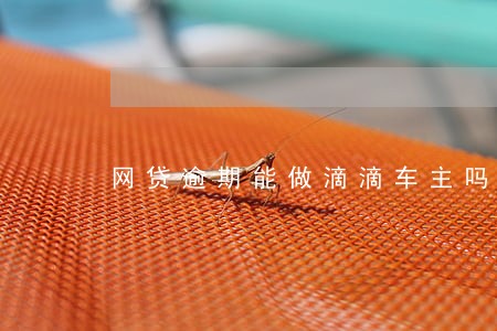 网贷逾期能做滴滴车主吗 网贷逾期能做滴滴车主吗