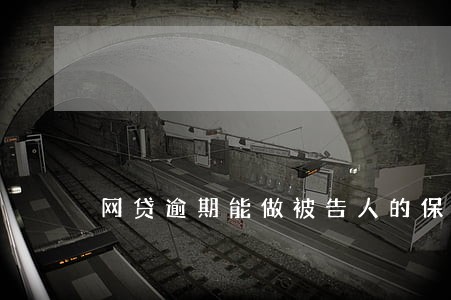 网贷逾期能做被告人的保证人吗 网贷逾期能做被告人的保证人吗