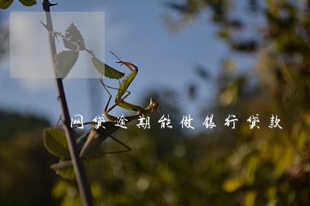 网贷逾期能做银行贷款 网贷逾期能做银行贷款