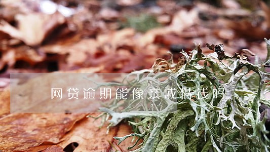 网贷逾期能像亲戚借钱吗 网贷逾期能像亲戚借钱吗