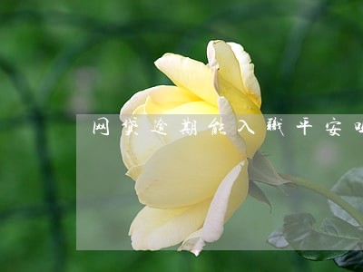 网贷逾期能入职平安吗 网贷逾期能入职平安吗