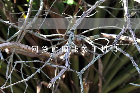 网贷逾期能关手机吗 网贷逾期能关手机吗