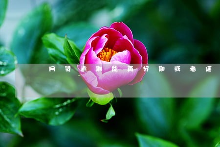 网贷逾期能再分期或者延期吗 网贷逾期能再分期或者延期吗
