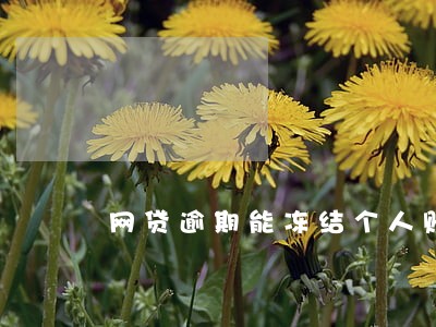 网贷逾期能冻结个人账户吗 网贷逾期能冻结个人账户吗