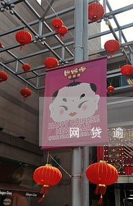 网贷逾期能出入境 网贷逾期能出入境