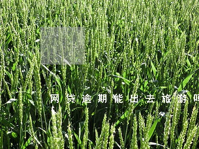 网贷逾期能出去旅游吗