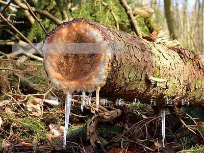 网贷逾期能办五险吗 网贷逾期能办五险吗