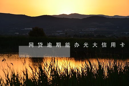 网贷逾期能办光大信用卡吗 网贷逾期能办光大信用卡吗