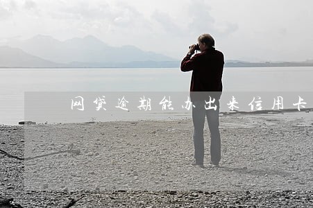 网贷逾期能办出来信用卡吗