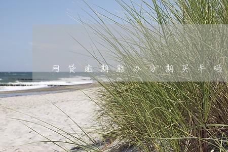 网贷逾期能办分期买车吗 网贷逾期能办分期买车吗