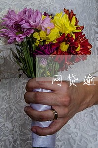网贷逾期能办手机分期吗 网贷逾期能办手机分期吗
