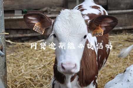 网贷逾期能办捷信吗